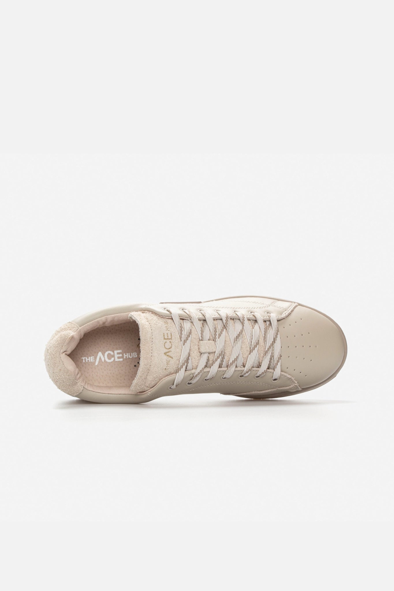 Shot Light Bone/Bone - The ACE Hub - G8101L11 - L14 - C30