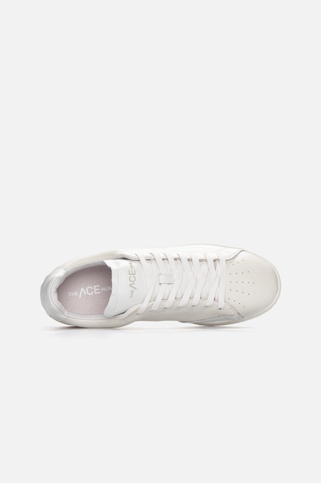 Shot - Off White/White - The ACE Hub - G8101L71 - L14 - B26